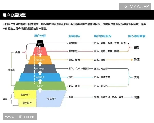 探索至尊国际平台的独特魅力与用户体验